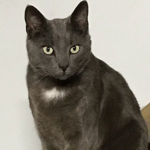 Meet your Posher, Connie